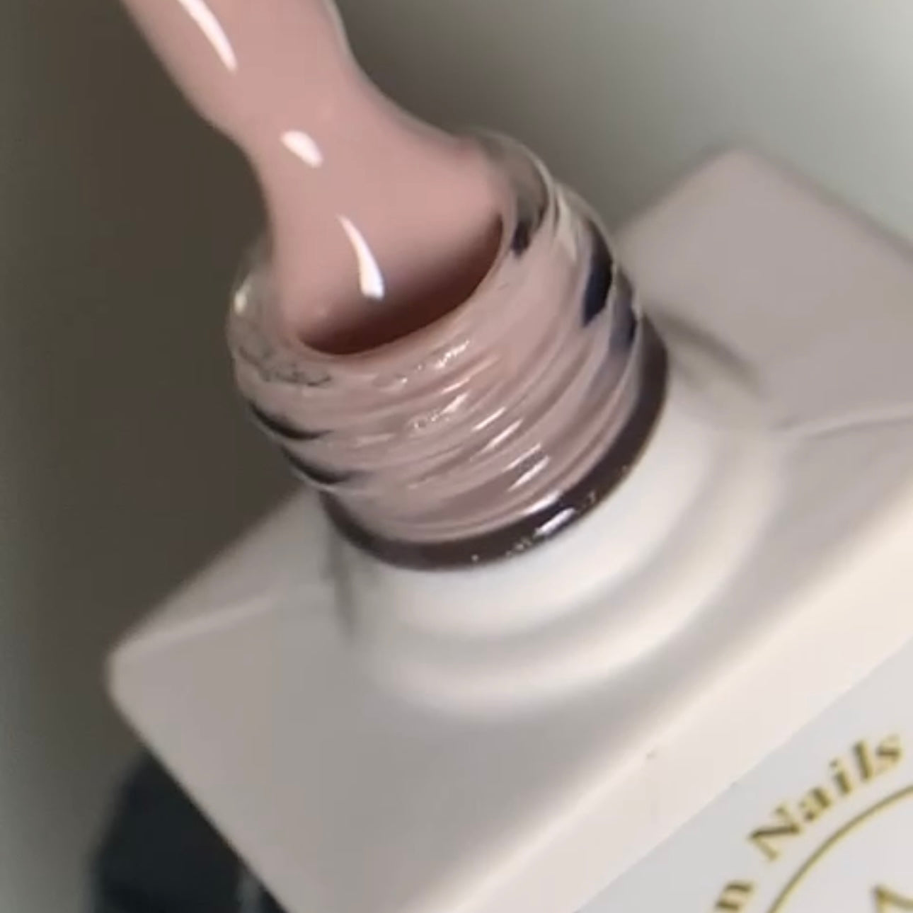 Luxury Nudes