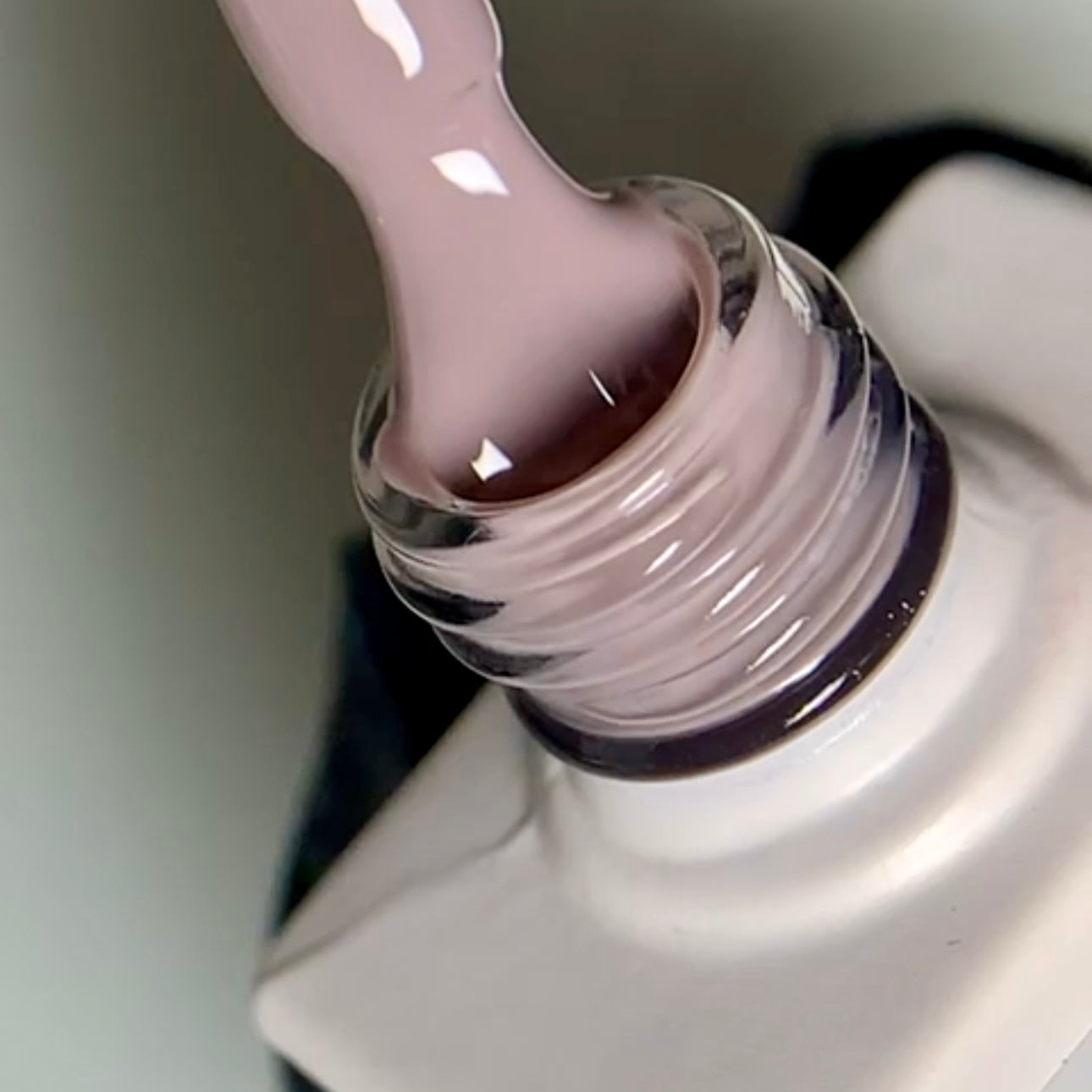 Luxury Nudes