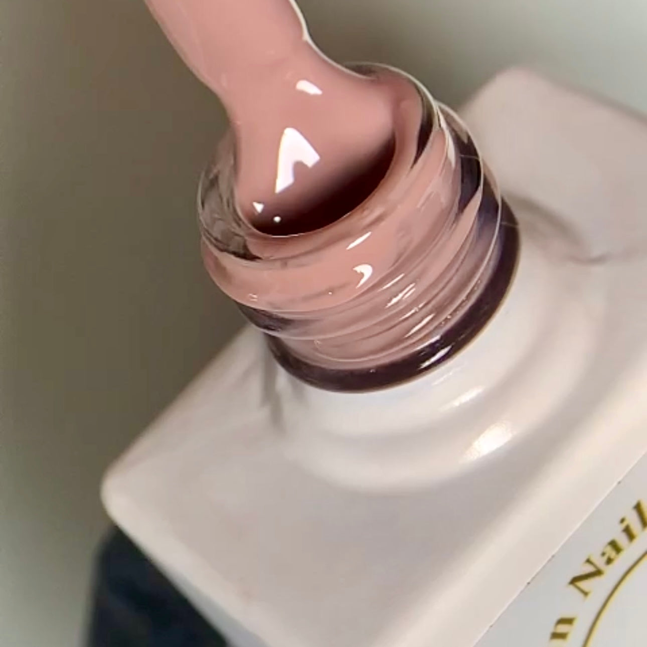 Luxury Nudes