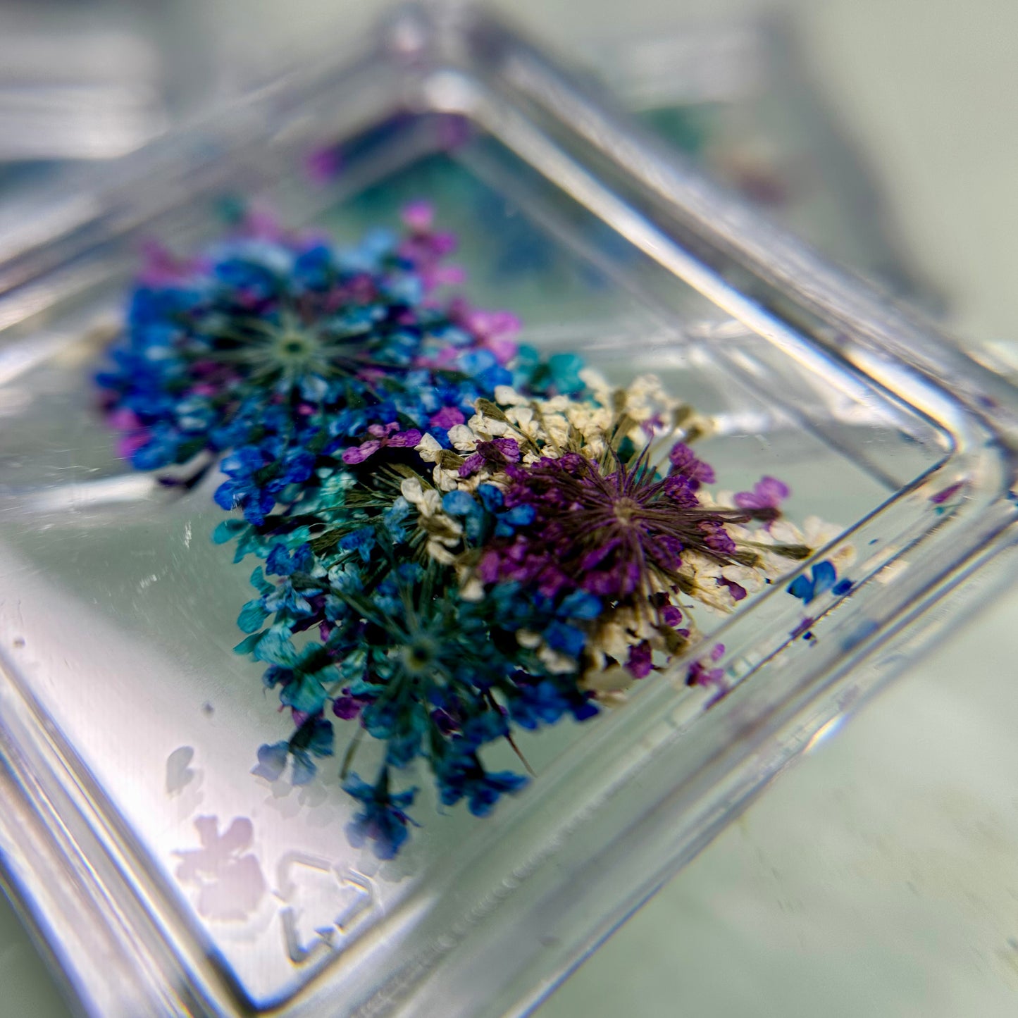 3D Dry Flower quads