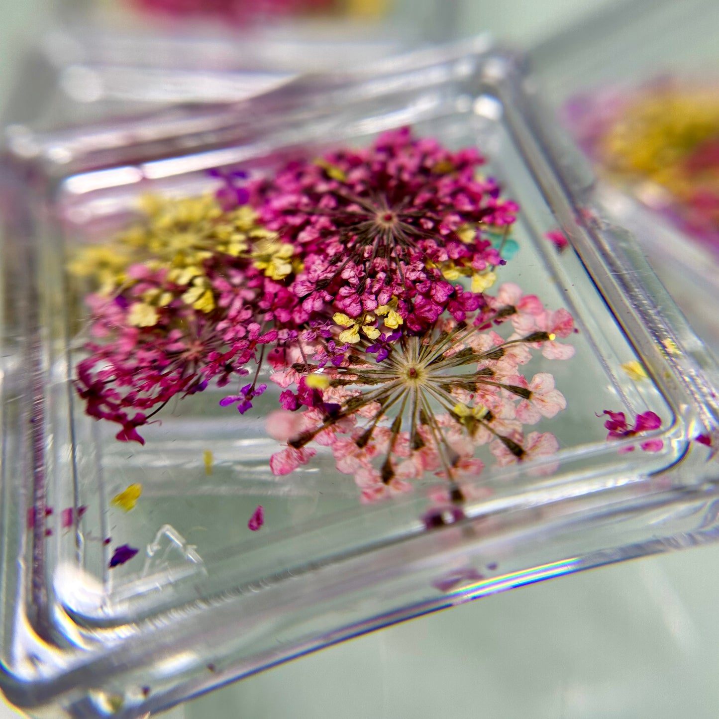 3D Dry Flower quads