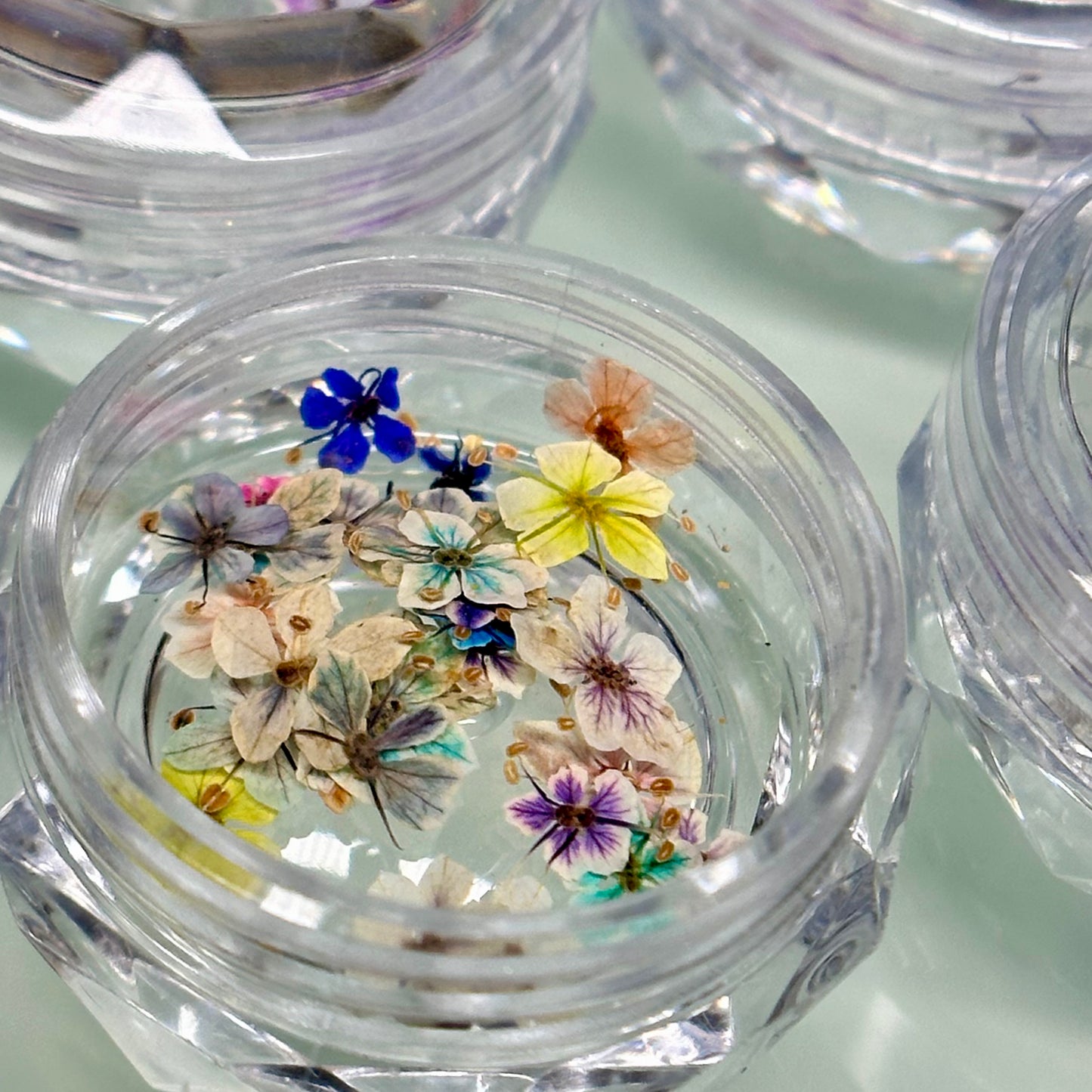 Dry Flower 01